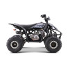 Pojazd Quad Spalinowy DESERT STORM LIFT Czarny