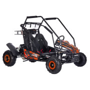 Buggy spalinowe